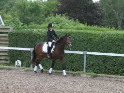 IMG_4821_web